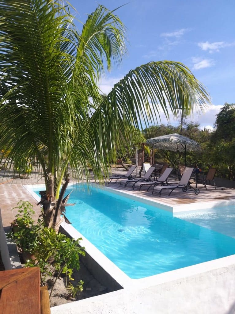 Vista para piscina cercada de coqueiros